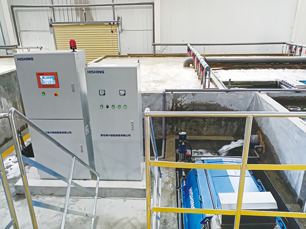 西藏亞?wèn)| - 亞?wèn)|鮭魚(yú)-淡水