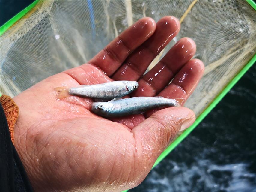 1600222800160858.jpg 1600222800160858.jpg