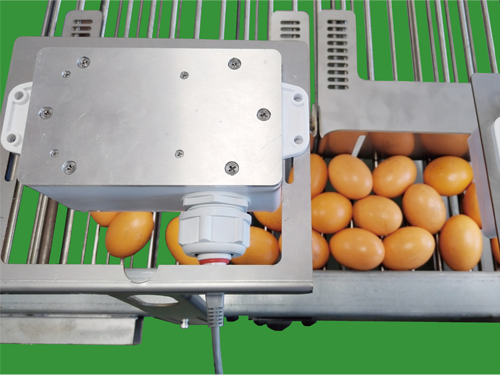 VNC支蛋線視覺(jué)數(shù)蛋器